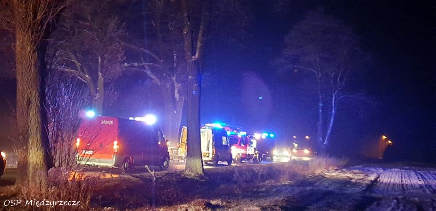 OSOBÓWKĄ UDERZYŁ W DRZEWO NA UL. ŻUBRÓW W MIĘDZYRZECZU OSOBÓWKĄ UDERZYŁ W DRZEWO NA UL. ŻUBRÓW W MIĘDZYRZECZU