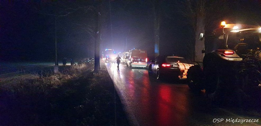 OSOBÓWKĄ UDERZYŁ W DRZEWO NA UL. ŻUBRÓW W MIĘDZYRZECZU OSOBÓWKĄ UDERZYŁ W DRZEWO NA UL. ŻUBRÓW W MIĘDZYRZECZU