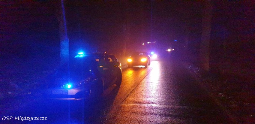 OSOBÓWKĄ UDERZYŁ W DRZEWO NA UL. ŻUBRÓW W MIĘDZYRZECZU OSOBÓWKĄ UDERZYŁ W DRZEWO NA UL. ŻUBRÓW W MIĘDZYRZECZU