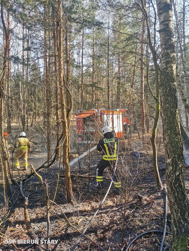 POŻARY TRAW I NIEUŻYTKÓW NA TERENIE TYCHÓW I W POWIECIE BIERUŃSKO - LĘDZIŃSKIM POŻARY TRAW I NIEUŻYTKÓW NA TERENIE TYCHÓW I W POWIECIE BIERUŃSKO - LĘDZIŃSKIM