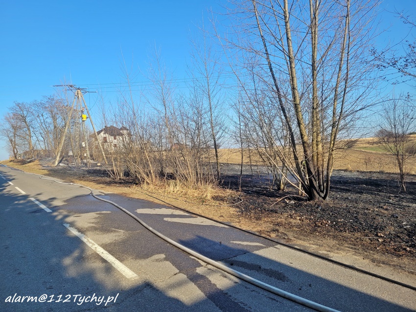POŻARY TRAW I NIEUŻYTKÓW NA TERENIE TYCHÓW I W POWIECIE BIERUŃSKO - LĘDZIŃSKIM POŻARY TRAW I NIEUŻYTKÓW NA TERENIE TYCHÓW I W POWIECIE BIERUŃSKO - LĘDZIŃSKIM