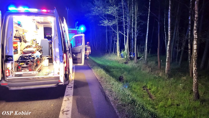 ZDERZENIE Z ŁOSIEM I DACHOWANIE NA TRASIE DK1 ZDERZENIE Z ŁOSIEM I DACHOWANIE NA TRASIE DK1