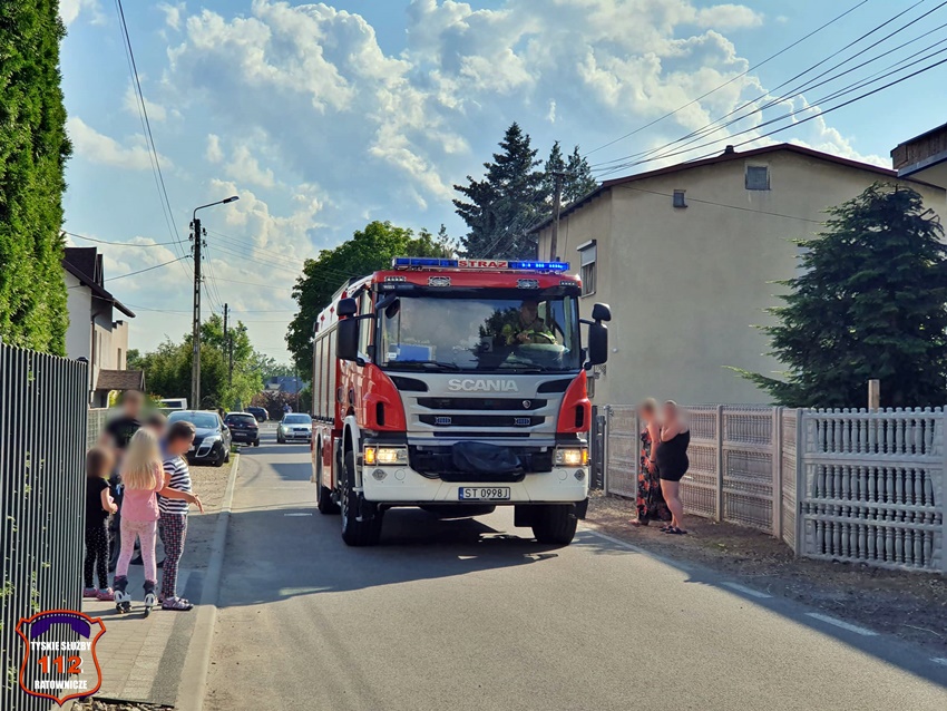 POŻAR KRZEWÓW PRZY UL. KODOWEJ W KOBIÓRZE POŻAR KRZEWÓW PRZY UL. KODOWEJ W KOBIÓRZE