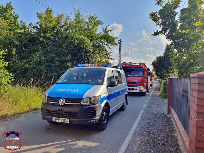 POŻAR KRZEWÓW PRZY UL. KODOWEJ W KOBIÓRZE POŻAR KRZEWÓW PRZY UL. KODOWEJ W KOBIÓRZE
