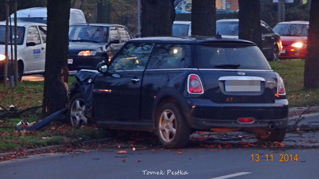 Mini na drzewie przy al. Bielskiej Mini na drzewie przy al. Bielskiej